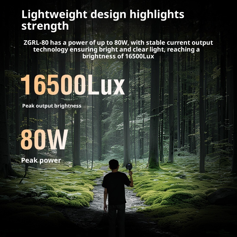 ZGRL80 80 Вт COB светодиодный  – обзор и цена Outdoor Lighting For Photography